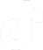 Tiktok100 cutout